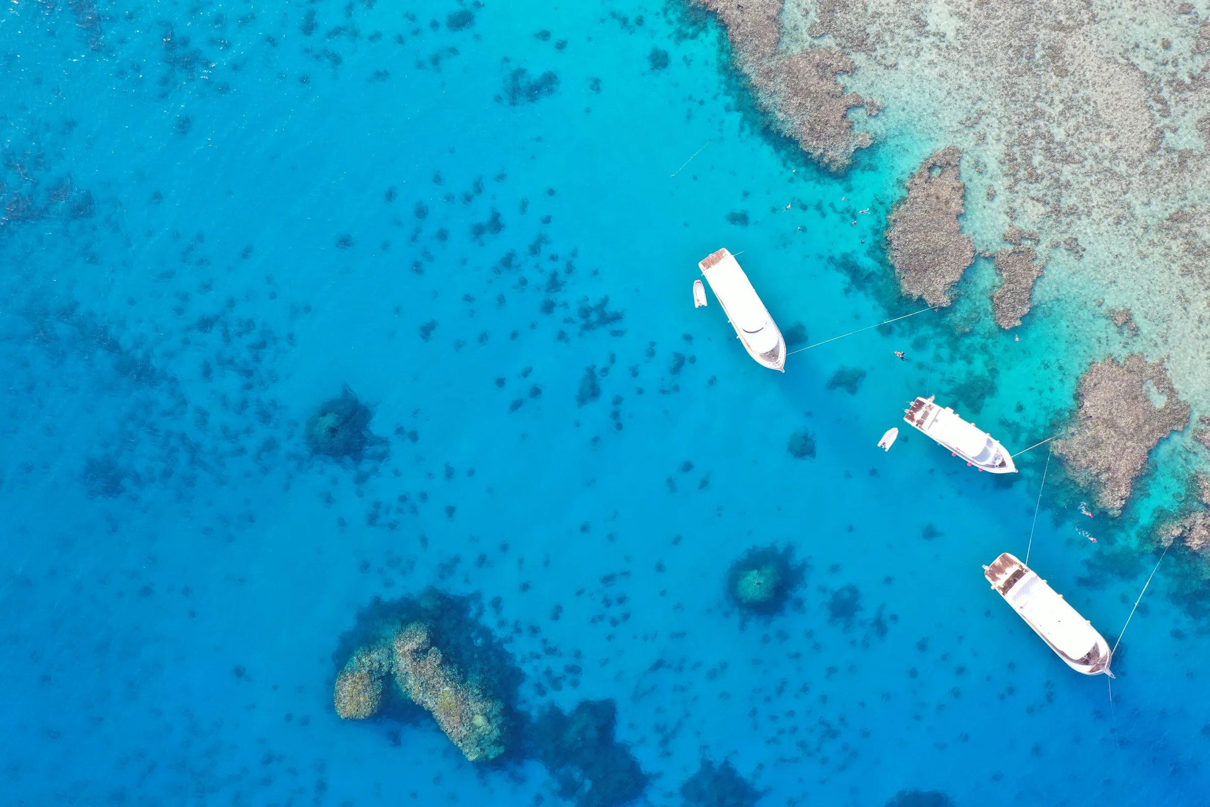 ningaloo reef
