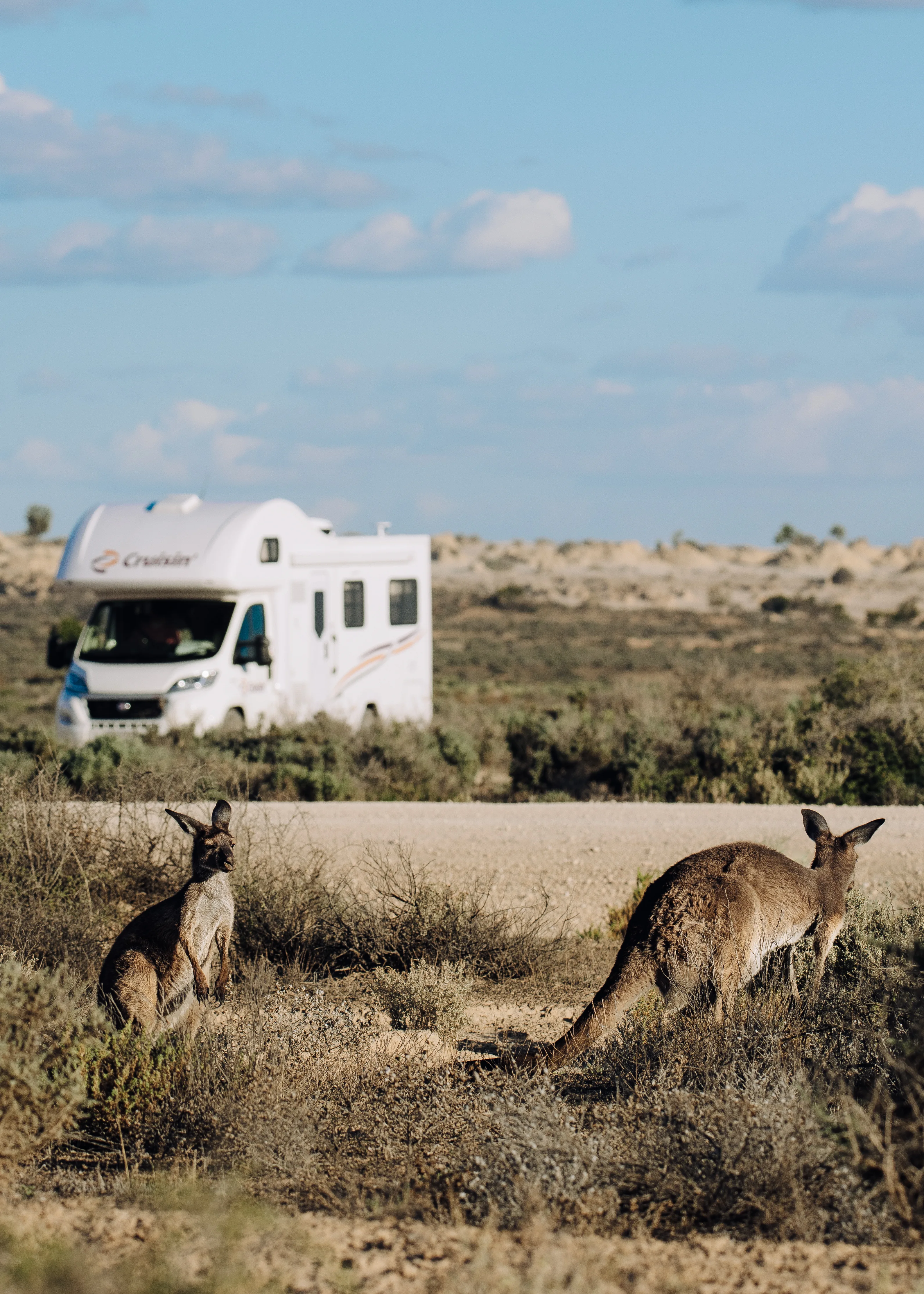 campervan-australia