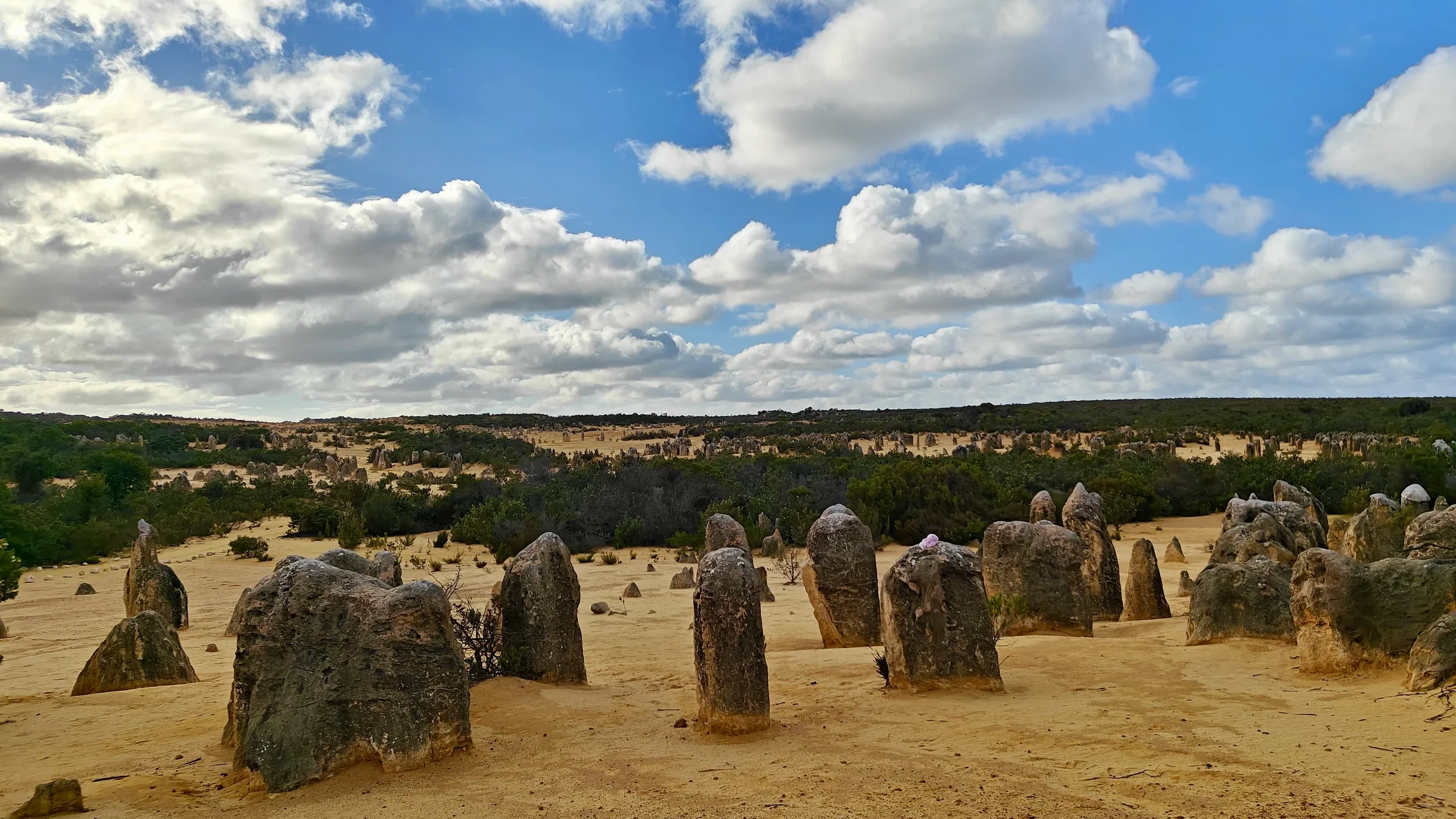 Pinnacles Desert 1