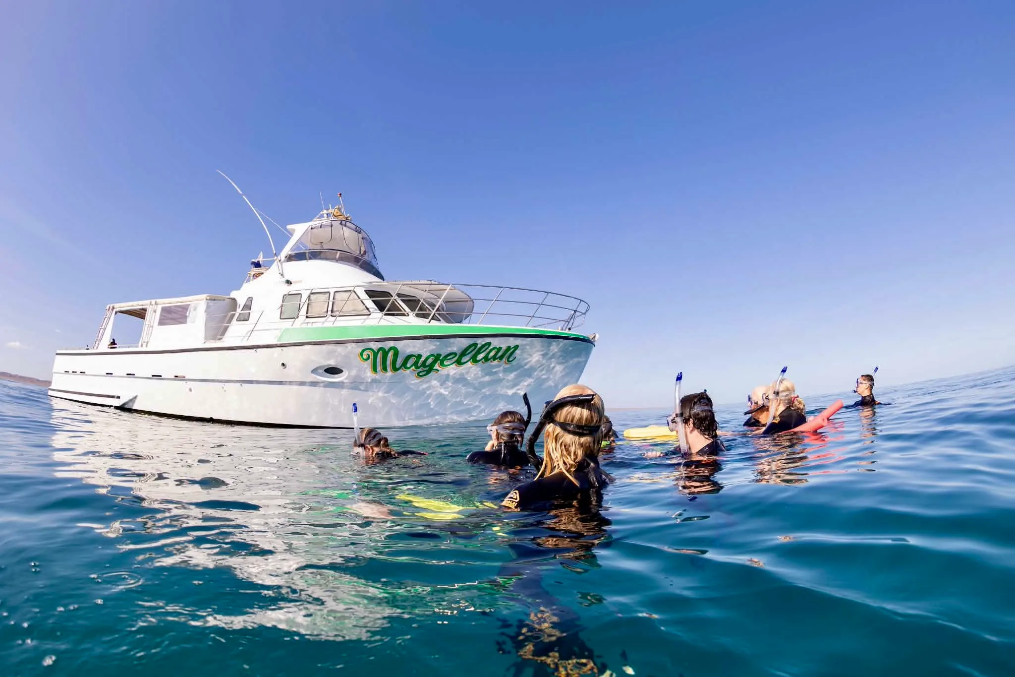 ningaloo reef snorkling 2