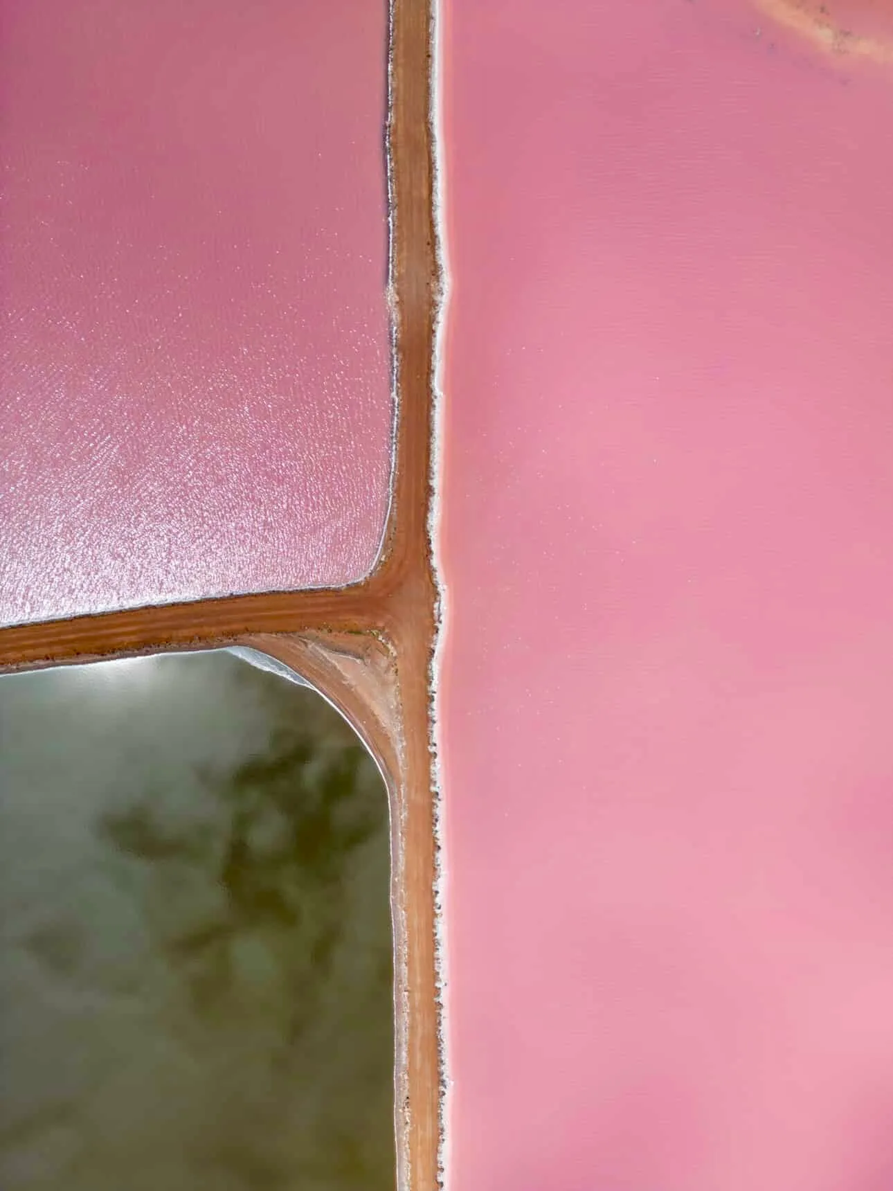 Pink Lake Hutt Lagoon WA