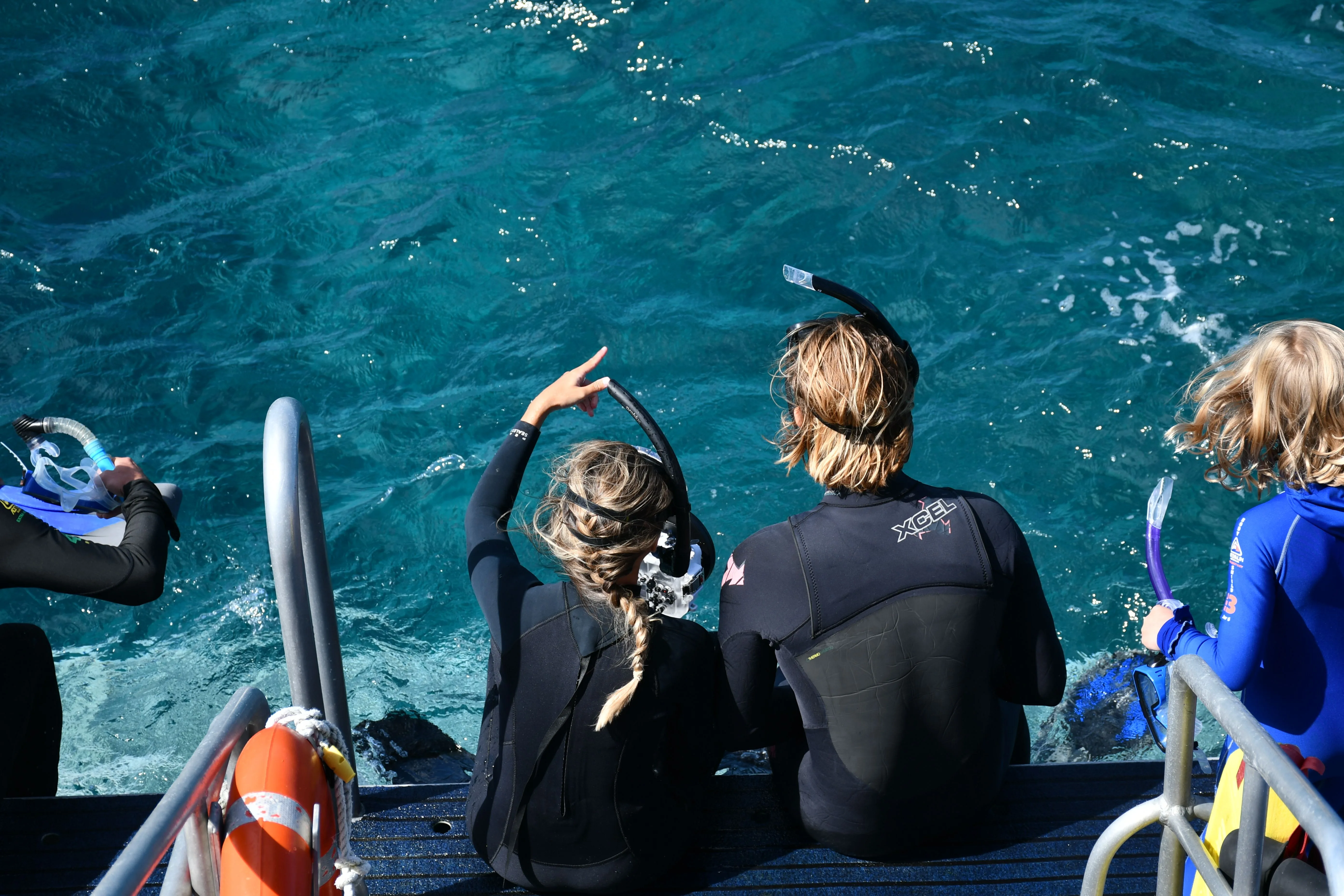 great barrier reef snorkling
